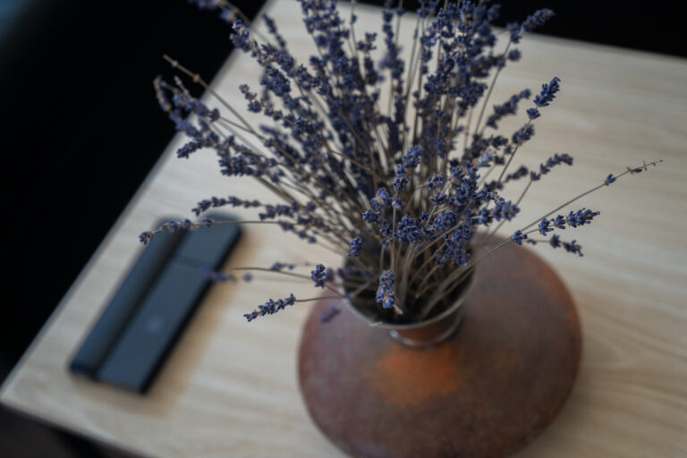 hotel-schlafschoeningen-ferienwohnung-14